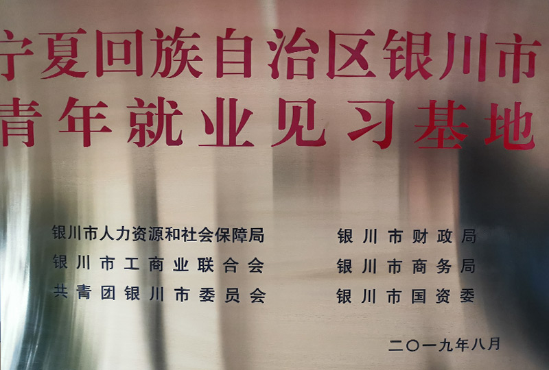 青年就業(yè)見(jiàn)習(xí)基地
