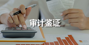 審計(jì)鑒證