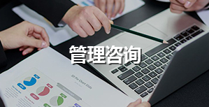 管理咨詢(xún)